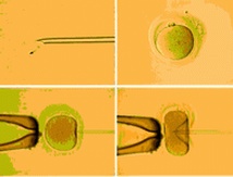 合肥助孕服务公司哪家强？合肥正规助孕机构大盘点！